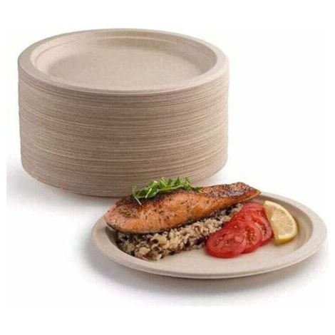 Lot 100 Assiettes Carton Rigides Biodégradables Compostables Résistantes Pique-Nique Barbecue 17 8cm