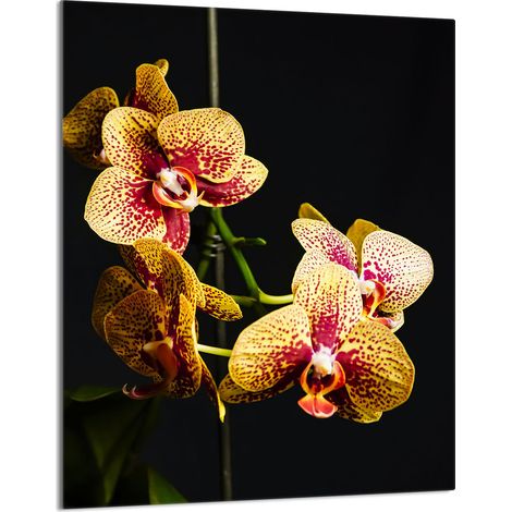 Glasschneidebrett 40x52 Orchidee (1/5)