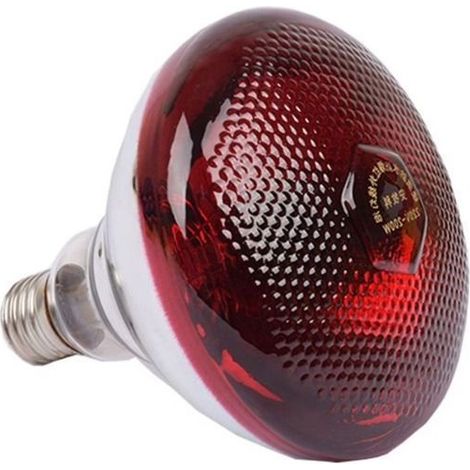 Ampoule infrarouge chauffante 250W – Rouge, E27, verre épais 5000h – Pour élevage volailles, ferme (1/5)