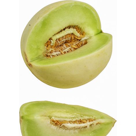 Melon 'Honey Dew' le sachet de 15 graines environ