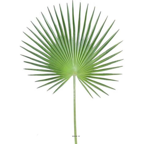 Feuille palmier Chamaerops artificielle H 150 cm D 80 cm polyurethane (1/3)