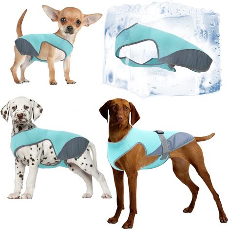 Gilet de Refroidissement pour Chien,Manteau Rafraichissant Veste Rafraichissante Animaux Randonnée/Promenade/Exercice/Interaction (Bleu-S)