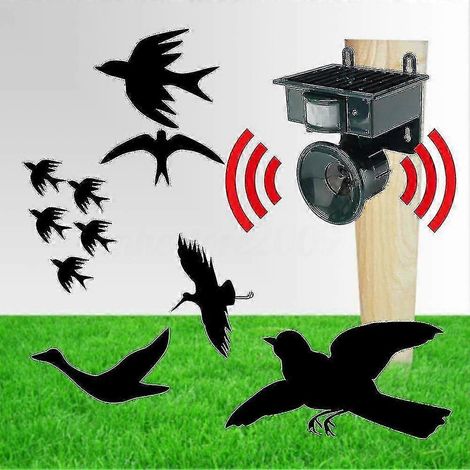 Répulsif à ultrasons solaire d'extérieur contre les oiseaux et les corbeaux nuisibles (1/5)