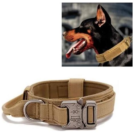 QORVA-Collier pour Chien - SALUTUYA - Ajustable - Confortable - Boucle Métallique - Noir (1/4)