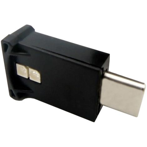 Lampe d'ambiance LED néon USB-C Type-C pour intérieur de voiture (1/5)