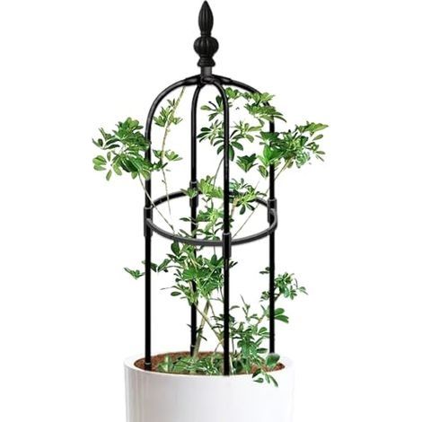 Jardin obélisque Treillis 3 Pieds de Haut Rond Rouue Rustproofing Trellis Plant de Bricolage Plant Facile à Assembler pour Les Pots Plantes d'escalade intérieure, intérieure (1/5)