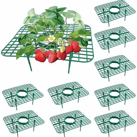 Lot de 10 Supports de Culture Amovibles pour Fraises, Support de Culture de Fraises Protection Contre la Pourriture et la Moisissure, pour Serre et Plantes en Pot Cadre de Culture (1/5)