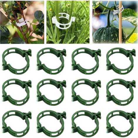 100 pinzas de plástico reutilizables para plantas, soportes para tomates - Para plantas más sanas