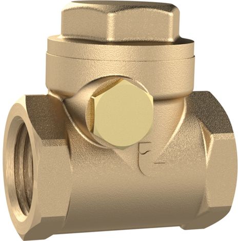 Riegler Rückschlagklappe, DN 50, Messing, G 2, PN max. 10 bar (1/3)