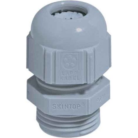 Lapp Zubehör Kabelverschraubung SKINTOP ST Pg13,5 R7001 SGY