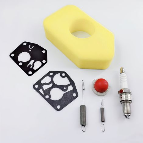 Ensemble élément filtrant de carburateur — Filtre à air 3,5 CV pour moteurs BS Classic Sprint Quattro (3,5 à 4,5 CV) (1/5)