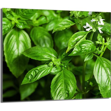 Protezione per piano cottura in vetro 60x52 Basil (1/5)
