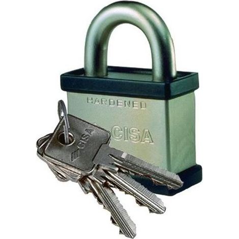 Cisa 28050 Lucchetto ad Arco in Acciaio Carbonitrurato Arco 70 mm Luce 45 mm Profilo LIM Cilindro Ricifrabile 2 Chiavi