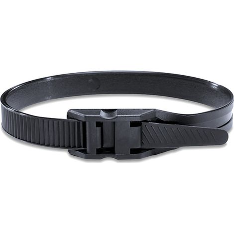 Lot de 100 colliers noir a tête plate PA11 265X9mm ROBUSTO LPH962 (1/5)