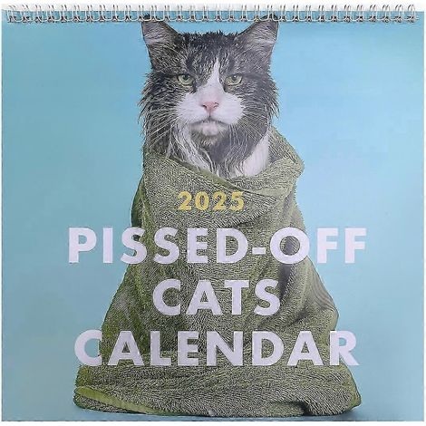 Calendrier 2025 : Calendriers muraux chats amusants, calendriers muraux chats 2025, calendriers de bureau à motifs de chats (1/5)