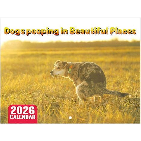 Calendario de pared 2026, calendario de 12 meses, calendario colgante de animales divertidos para oficina, escuela, hogar, regalos de broma - perro a (1/5)