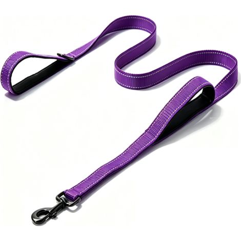Beyamis Laisse robuste pour chien - 2 poignées rembourrées pour un contrôle accru, 1,8 m de long - Idéale pour les chiens moyens à grands (violet, 1,8 m) (1/5)