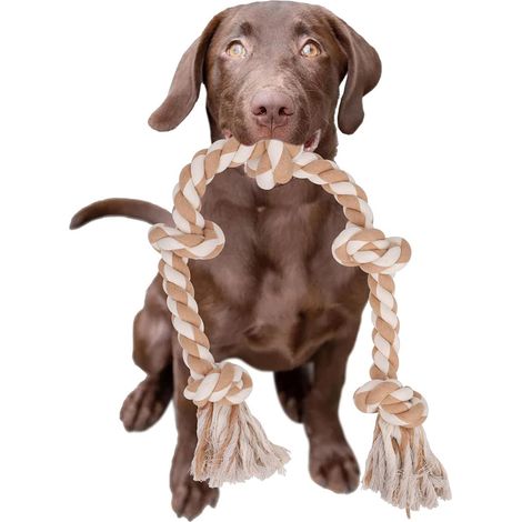 Corde indestructible pour chiens de grande taille et puissants, jouet en corde pour chien, 90 cm, 5 nœuds, corde pour mâcher avec vigueur, corde interactive pour chiens de races moyennes et grandes. (1/5)