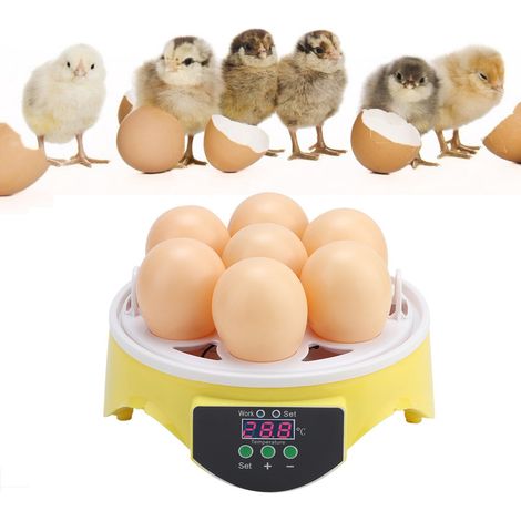 Incubateur intelligent 7 œufs pour poules et canards, entièrement automatique, avec contrôle intelligent de la température, prise US 110 V (1/5)