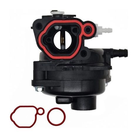 Carburateur pour moteur de tondeuse à gazon Briggs-Stratton 300E 450E 500E 550EX 500 125cc 140ccc 799583 (1/5)
