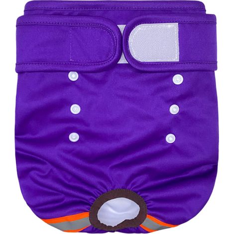 1 culotte physiologique pour chienne, réutilisable, ultra-absorbante, avec bande auto-agrippante et poche anti-fuites (1/5)