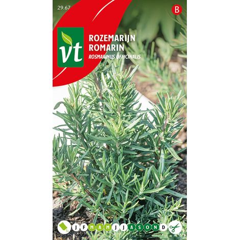 Romarin - Ca. 0,2 gr (Livraison Gratuite) (1/2)