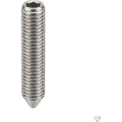 50 Vis Sans Tête Six Pans Creux Bout Pointeau 12 x 12 mm - ISO 4027 - Inox A2 - D-Work