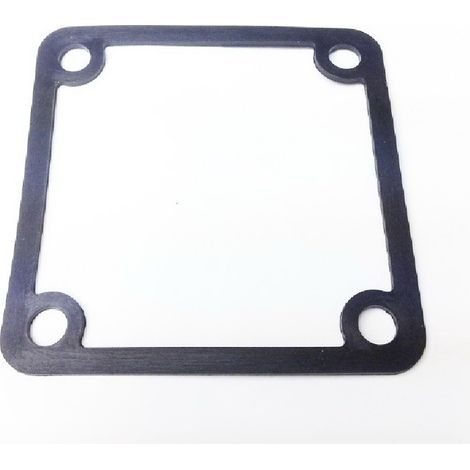 Junta Salida Bomba compatible con Qgz80 Ref 976818