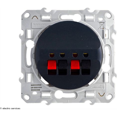 Prise haut-parleur Schneider Odace - 2 sorties Finition: Anthracite (1/6)