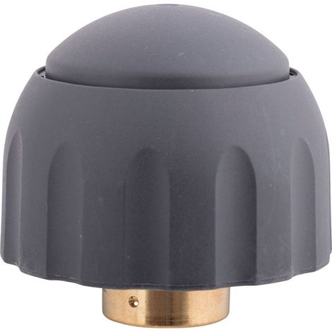 Polti tappo sicurezza caldaia Vaporella Vaporetto Super Pro Presto Eco 4000 450 (1/2)