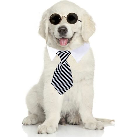 1 cravate pour animal de compagnie, rayée, réglable avec velcro, pour chien et chat, accessoire mode occasionnel (1/5)