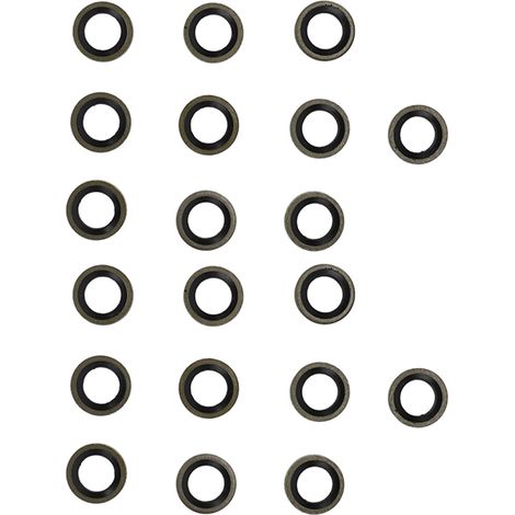 20 Hohlschrauben-Dichtscheiben 8 mm 3918188, Kraftstoffdichtungsersatz für Dodge Ram 2500 3500 Cummins (1/5)