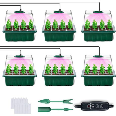 6er-Set Mini-Gewächshäuser mit Zeitschaltuhr – Helligkeit einstellbar – Indoor-Gewächshaus mit Deckel und Belüftung – 10 Etiketten, 2 Werkzeuge