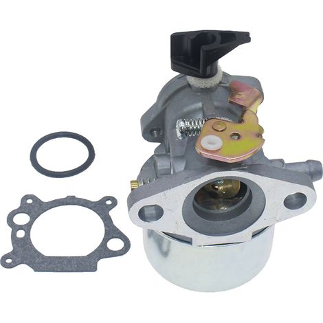 Carburateur essence 4 temps réf. 498965 – Remplace 494216, 493422, 494971 – Assure une coupe nette et régulière de la pelouse (1/5)