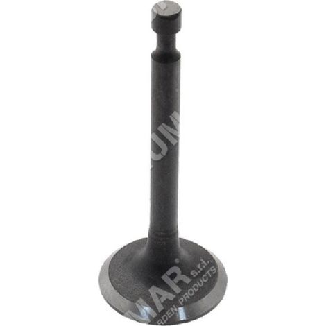 Kit Valvole di aspirazione e scarico per motori PROGREEN - 046664