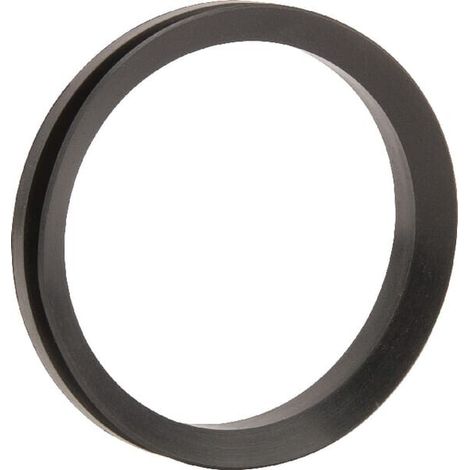 Dichtring MERLO ME024986