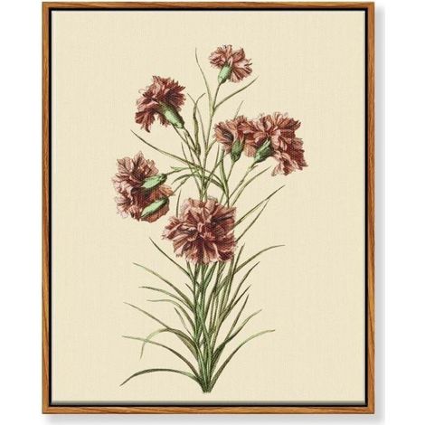 Leinwandbilder Botanisch Vintage 30x40cm Nelkenzweig 40L x 30B cm