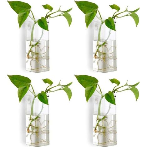 4 Pièces Cristal Verre Tenture Murale Fleur Vase Planteur Terrarium Conteneur Pot De Fleur (1/5)