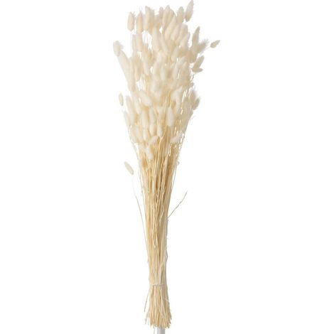 Bouquet de Fleurs "Queue de Lièvre" 86cm Écru