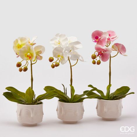 EDG Enzo De Gasperi Orchidea Artificiale H 40 Cm Ass. Bianca o Gialla o Fuxia 1 Pz