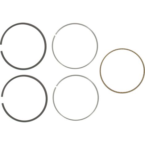 Jeu de segments BRIGGS ET STRATTON 795690