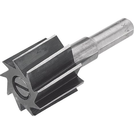Fresa de rebaje Craft fresa acero 25 mm plata (1/3)