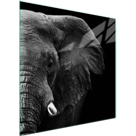 Piastra protettiva in vetro per piano cottura 50x52 Elefante (1/5)