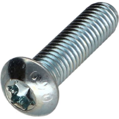 Vis métaux Tête bombée TORX T40 M8X30 Classe 10.9 Acier zingué - 1 pièce (1/5)