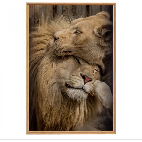 Tableau mural mat encadré couple lion 65x97 cm - Tableau Mural Décoratif - Image Encadrée Imprimée en HD - Impression 65x97 cm sur Fibres de Bois FSC - Finition Mate - Fabriqué en France (1/5)
