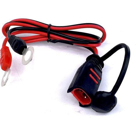 Connettore ad occhielli M8 batteria Per Telwin T-Charge 12 20 26 (1/4)
