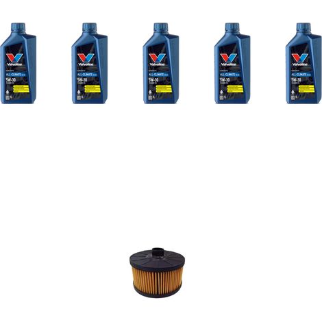 Kit filtro olio e 5L compatibile con Renault Captur II 1.0 TCe 90 ECO-G 67Kw dal 2021 (1/2)
