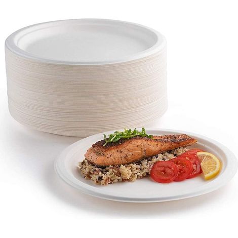 Lot de 100 assiettes en papier blanc, 23 cm, 100 % biodégradables et compostables, assiettes jetables écologiques, pour pique-niques et barbecues (23 cm/ (1/5)