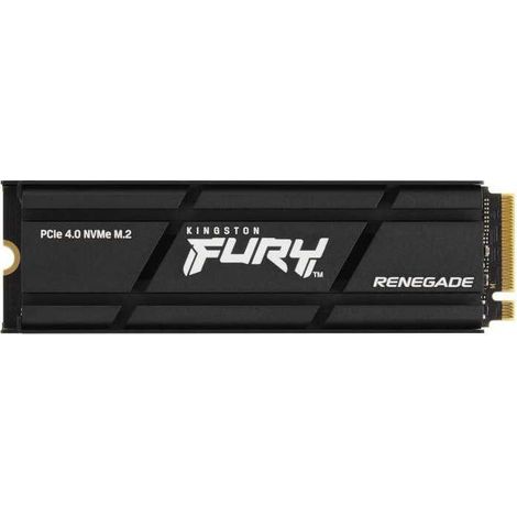 Kingston Technology 2000G RENEGADE PCIe 4.0 NVMe SSD W Radiateur de dissipation thermique