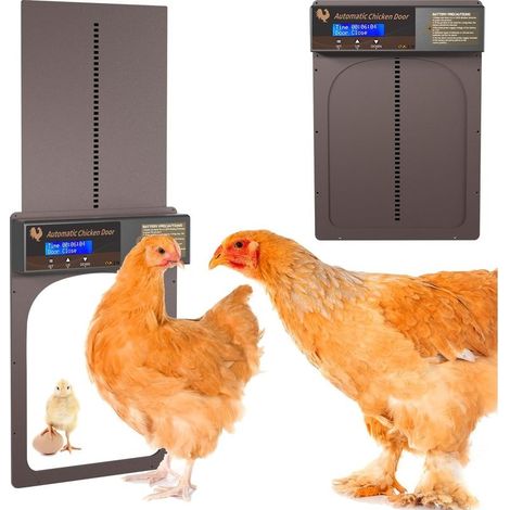 Door Automatic Chicken coop, Door Chicken coop Automatic with Screen LCD Programming Waterproof, Ideal for automation the opening and the Closure of a chicken coop (1/5)